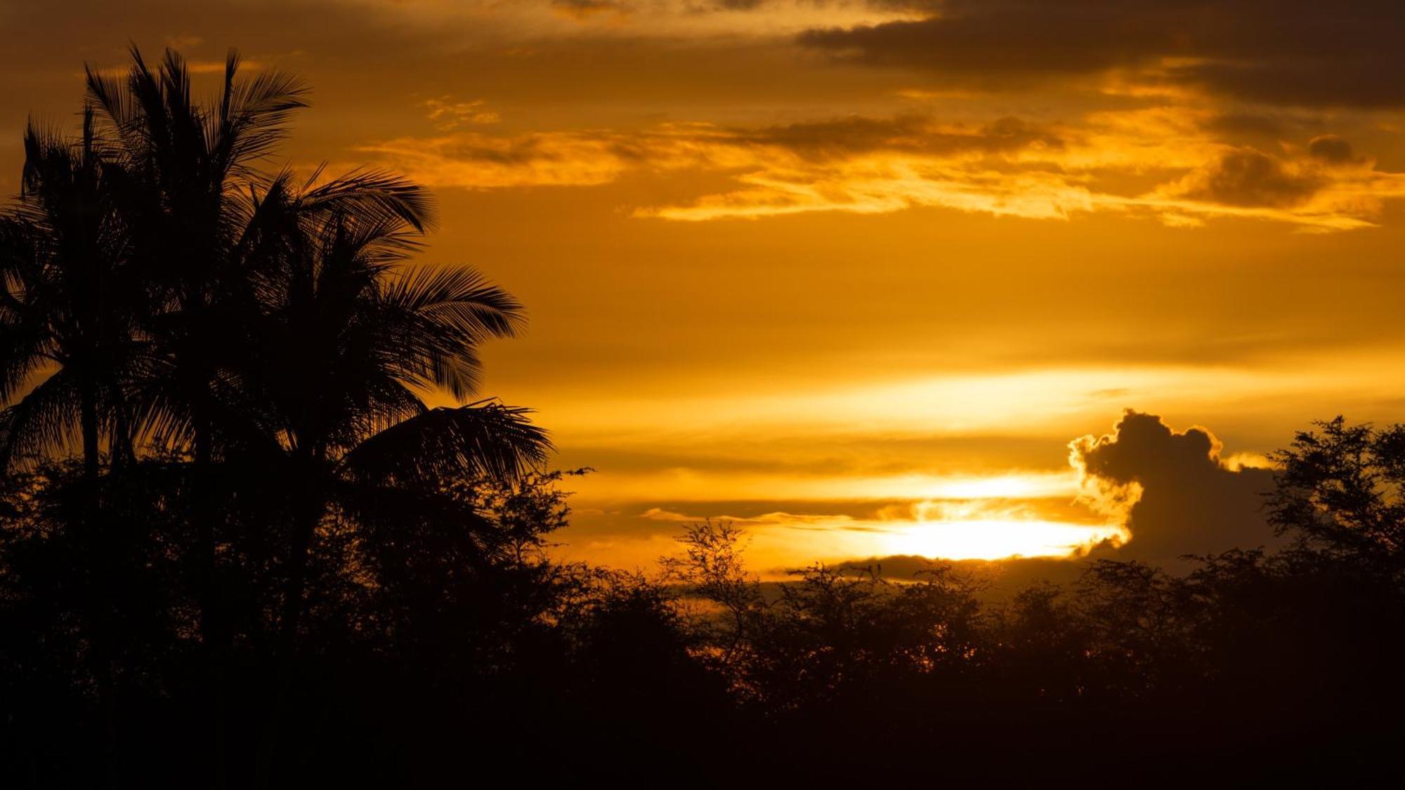 Dreams Come True Dreamlike 3Br Kamilo Home With Amazing View And Pool Waikoloa Exterior photo