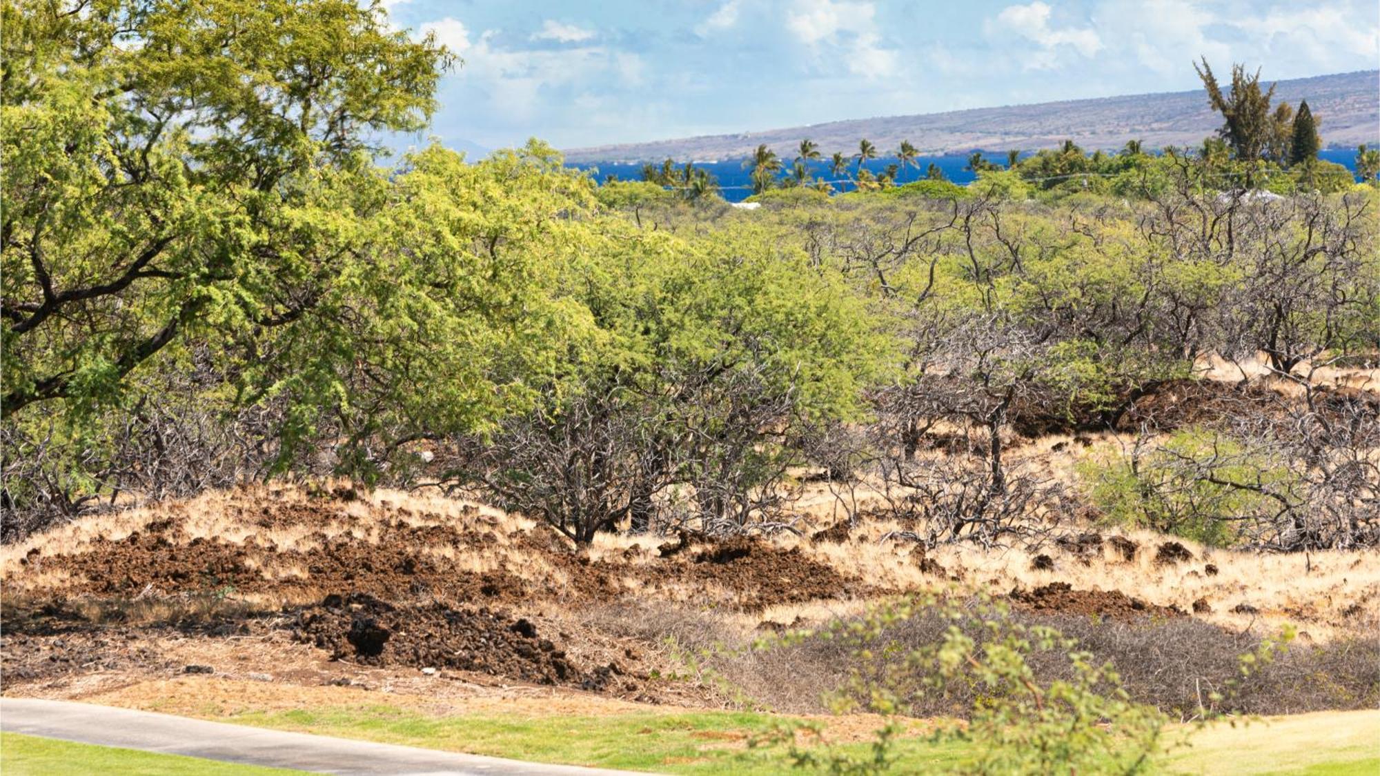 Dreams Come True Dreamlike 3Br Kamilo Home With Amazing View And Pool Waikoloa Exterior photo